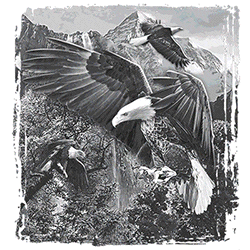 UV Tee - Eagles LandingDesign