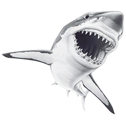 UV Tee - SharkyDesign