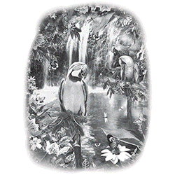 UV Tee - Tropical BirdlandDesign