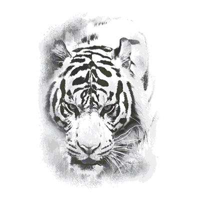 UV Tee - Colourful TigerDesign
