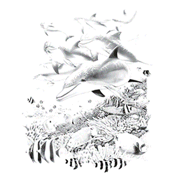 UV Tee - Living SeaDesign