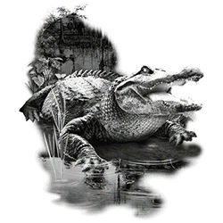 UV Tee - Gator SwampDesign