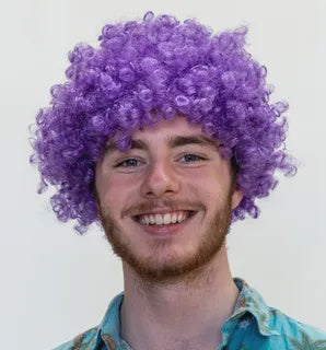 Clown Purple Wig