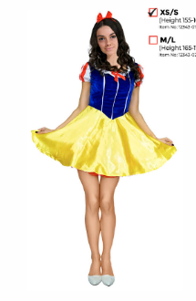 Adult Snow Princess Costume