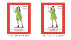 Children Green Fairy Costume 10-12yrs