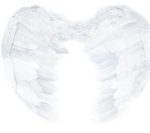 Angel Wing (Large) (White)