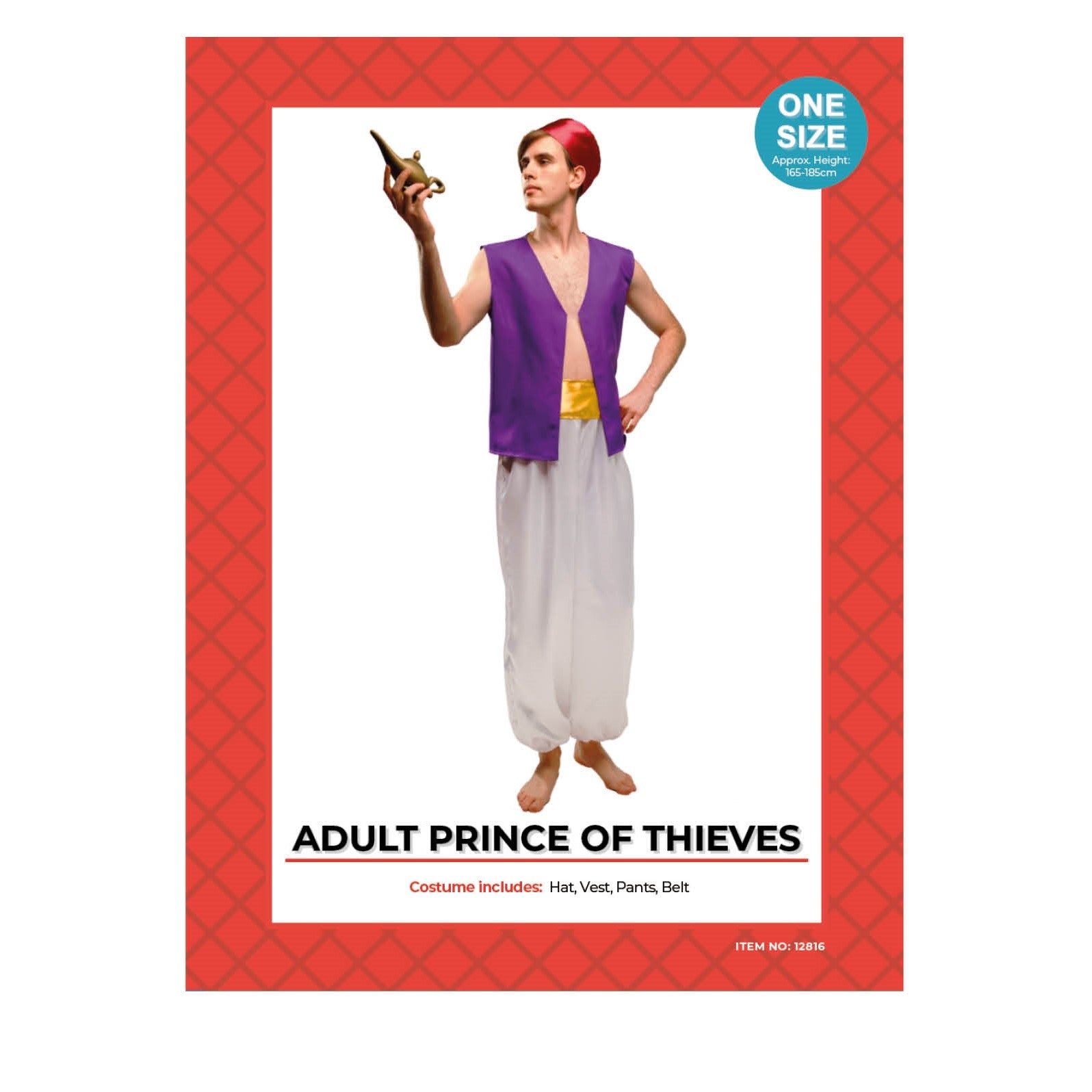 Adult Prince of Thieves Costume