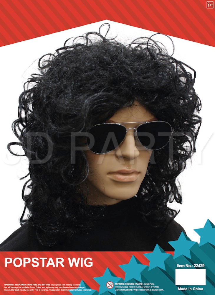Popstar Wig/Long curly wig