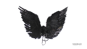 Fallen Angel Wing (46X76cm) Black